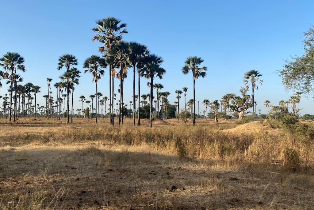 Case Beach Ngalou Sessene Buitenkant foto